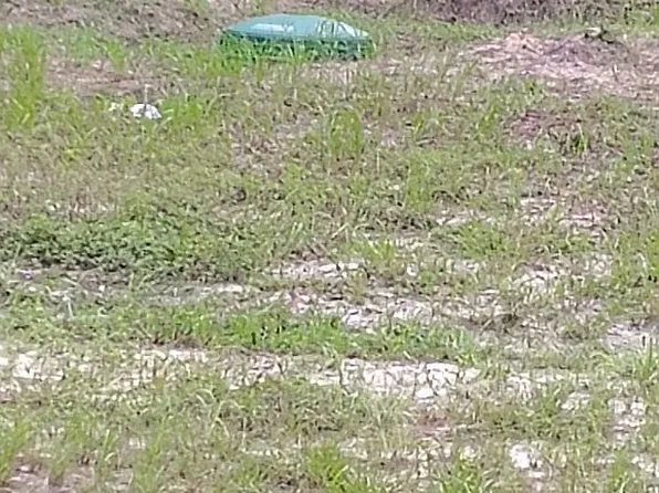 6405 S Coronado Ter, Lecanto, FL 34461