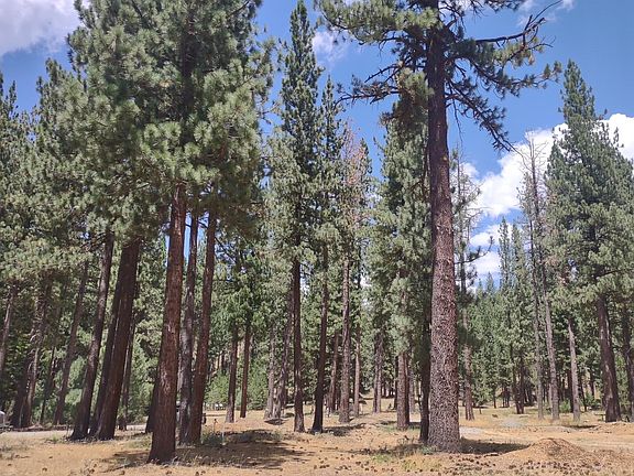 4th image of 329 Clio State 40a Rd