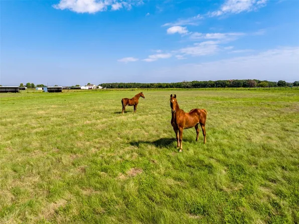 County Road 2458, Terrell, TX 75160