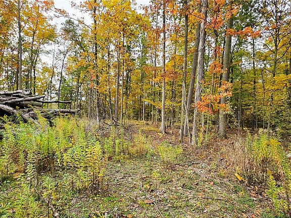 4th image of 9615 Oakland Rd Lot 22