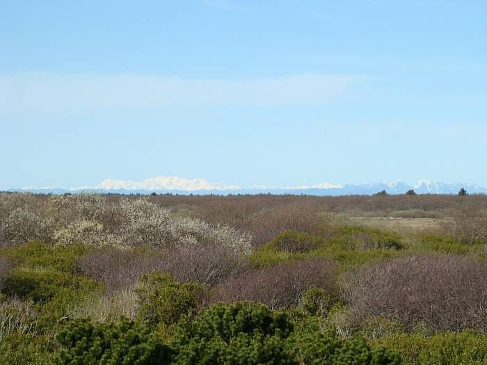 Close-up View of Mts.