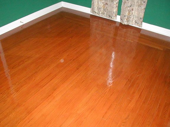 Hardwood floors in living room, bedroom, and hallway