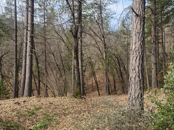 LOT 34 Doney St, Lakehead, CA 96051