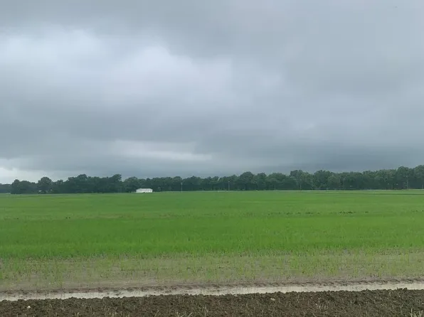 (undisclosed Address), Delaplaine, AR 72425