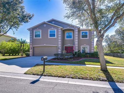 14738 Heronglen Dr, Lithia, FL, 33547