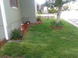 Front yard