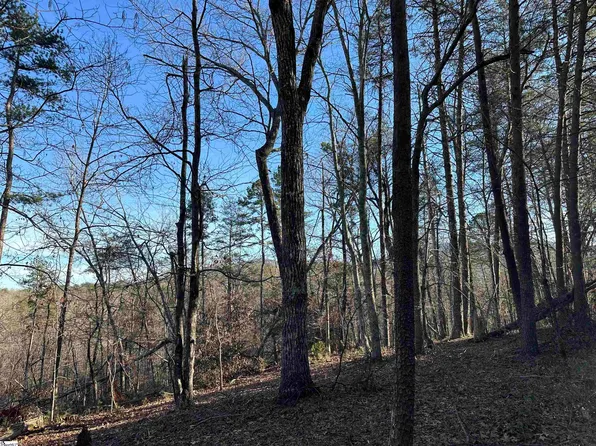 0 Hawkins Ln, Mill Spring, NC 28756