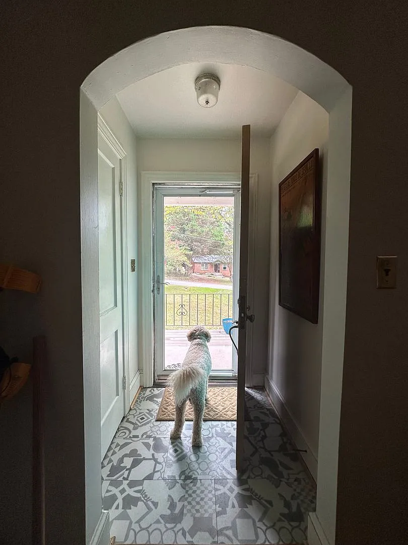 Move in October 2026, Conveniently Located — Photo 4