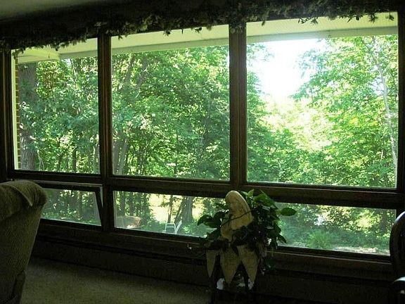 View from Living Room