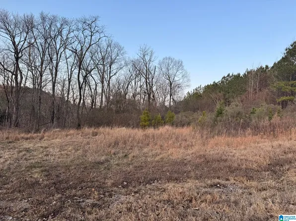 868 Hoover Rd #0, Quinton, AL 35130