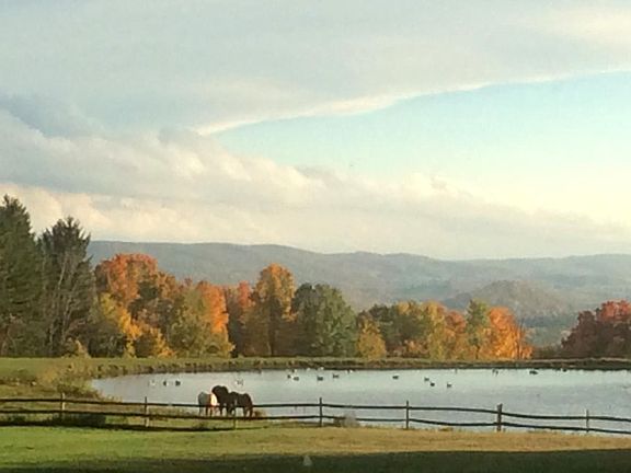 View from Main House