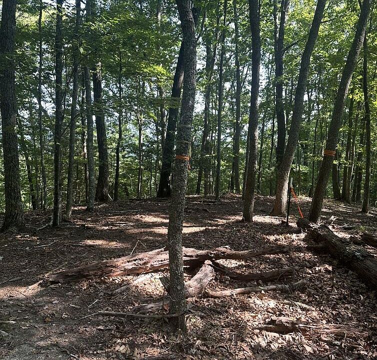 2nd image of 0 Brooks Ridge Rd