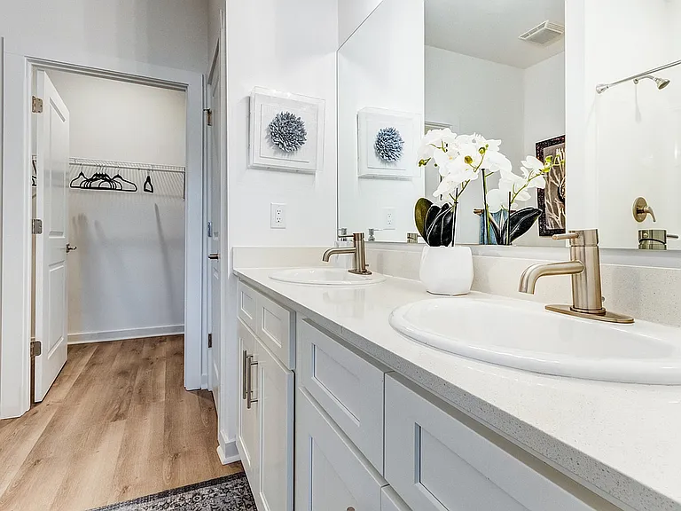 Bathroom with Spacious Closet