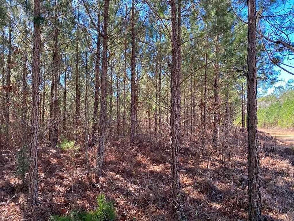 1st image of County Road 204