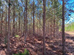 County Road 204, Iuka, MS 38852