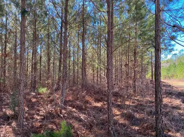 County Road 204, Iuka, MS 38852