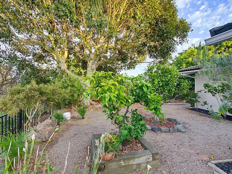 5605 Soledad Mountain Rd — Photo 12