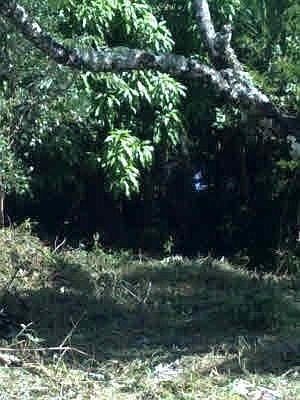 3rd image of Wahi Heiau Lot 69