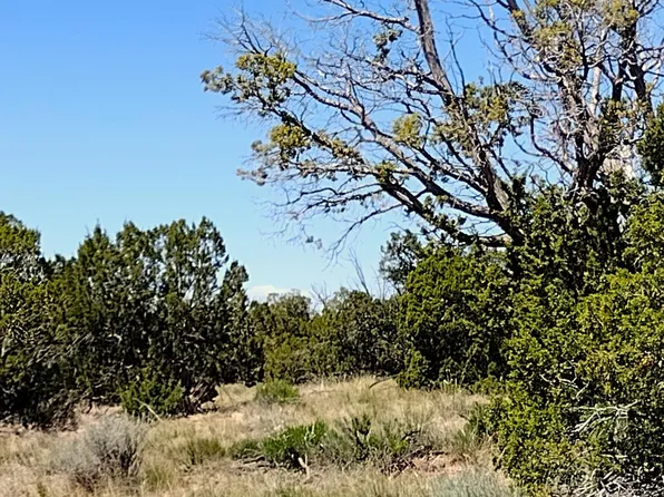 LOT-46A Witch Wl, Saint Johns, AZ 85936