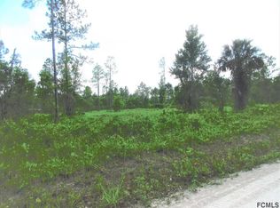 3010 S Palmetto St, Bunnell, FL 32110
