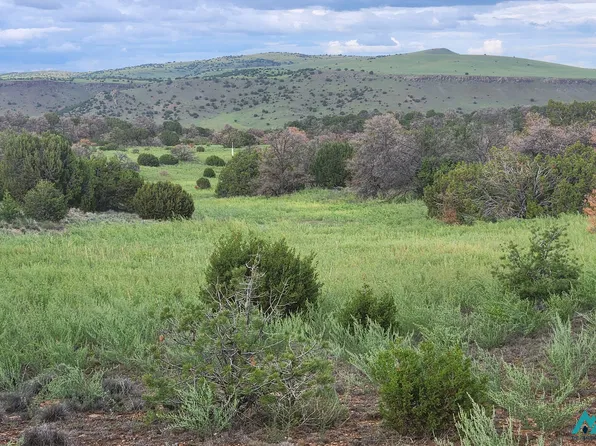 49 Sweetwater Dr #83, Quemado, NM 87829