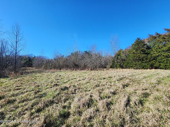 5th image of 3736 Wyatte Tyro Rd