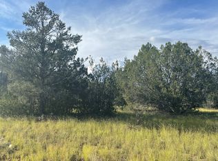 32956 W Conejo Rd, Seligman, AZ 86337