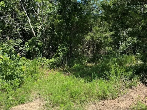 TRACT N4550 Rd #C, Whitesboro, OK 74577