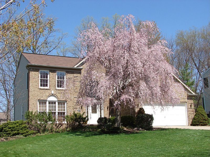 1st image of 2135 Demi Dr