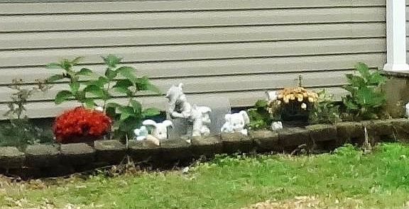 4th image of 7085 W County Road 240 NW