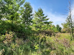 15776 Hall Rd, Bailey, MI 49303