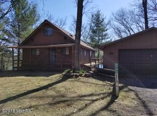 8795 W Velt Ave, Baldwin, MI 49304