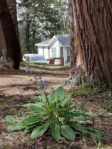 4283 Volcanoville Rd, Georgetown, CA, 95634