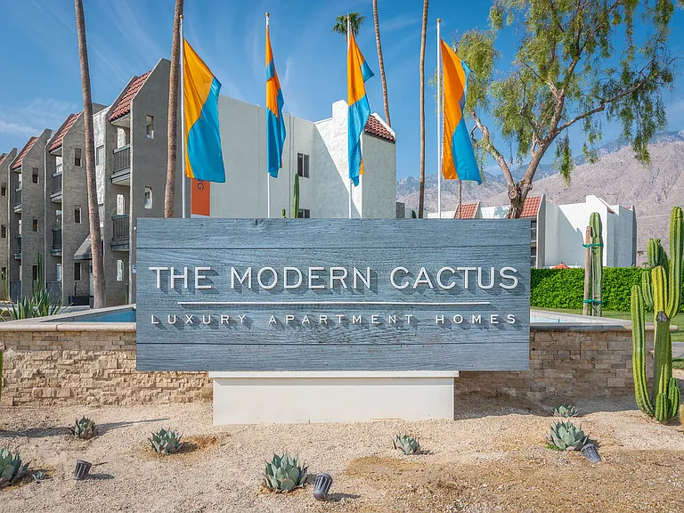 The Modern Cactus — Photo 7