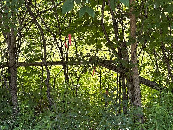 4th image of McCarthy Rd
