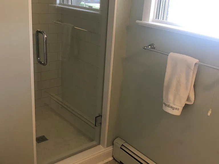 Primary bath shower