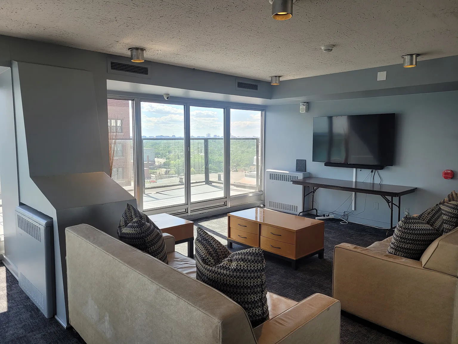 1 bed, $1,250 — Photo 3