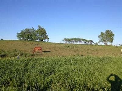 2nd image of 10251 Crampton Rd