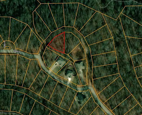 2nd image of Celtic Dr #7