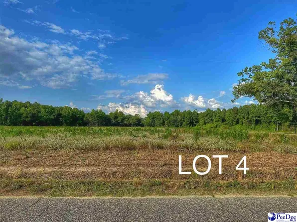 LOT 4 Oliver Rd, Hamer, SC 29547
