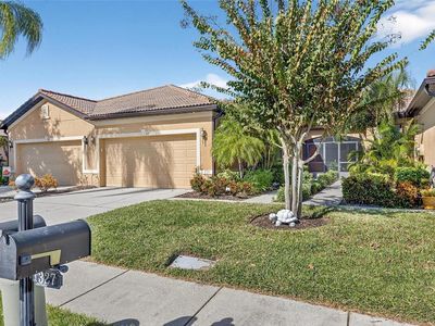 329 Seneca Falls Dr, Apollo Beach, FL, 33572