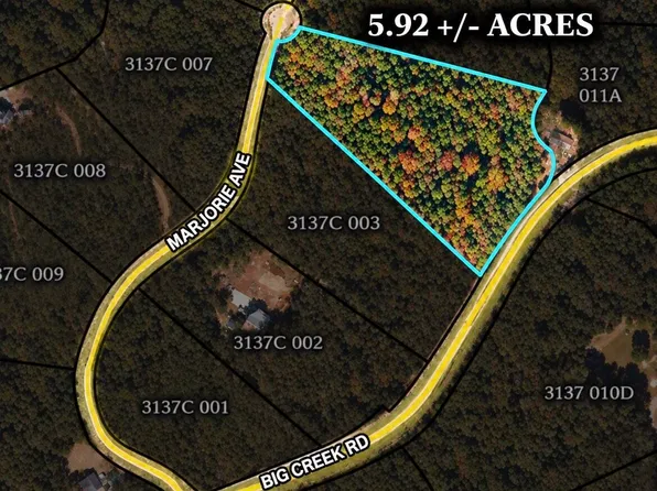 0 Marjorie Ave, Ellijay, GA 30536