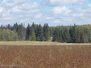 10465 Fir Ave, Frazee, MN 56544