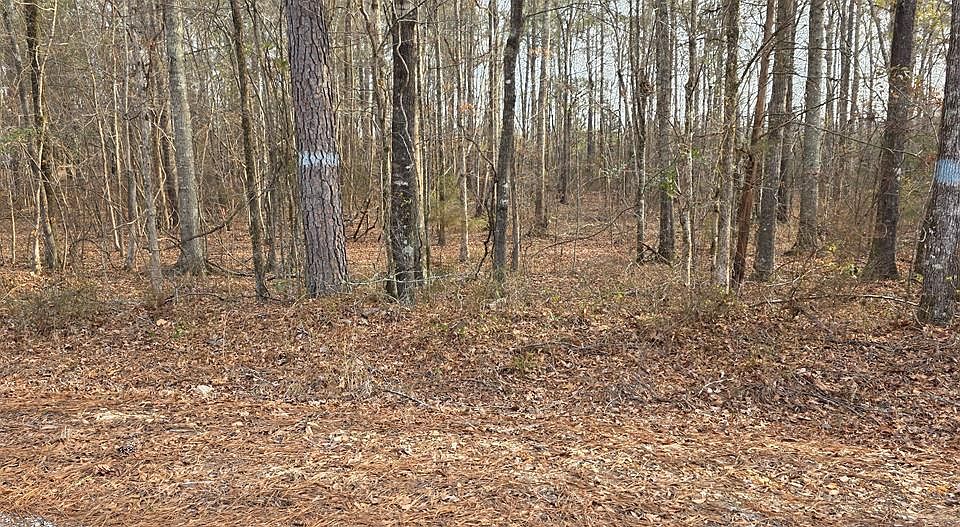 1st image of 0 Lee Road 143