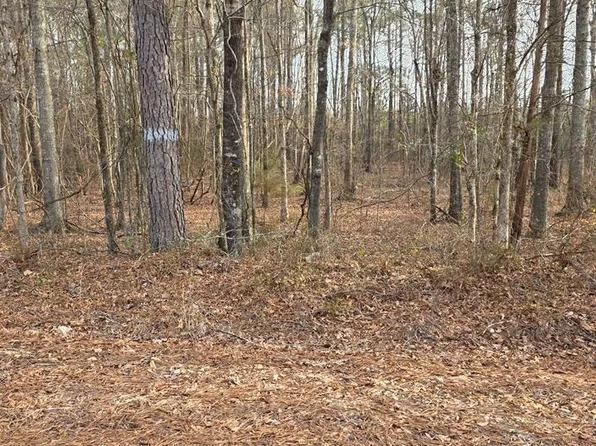 0 Lee Road 143, Salem, AL 36874