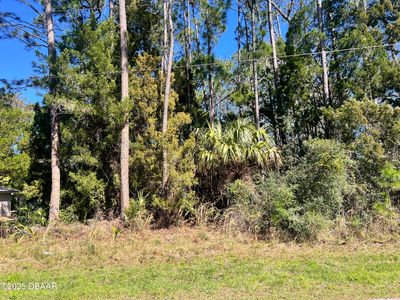 179 Ullian Trl, Palm Coast, FL, 32164