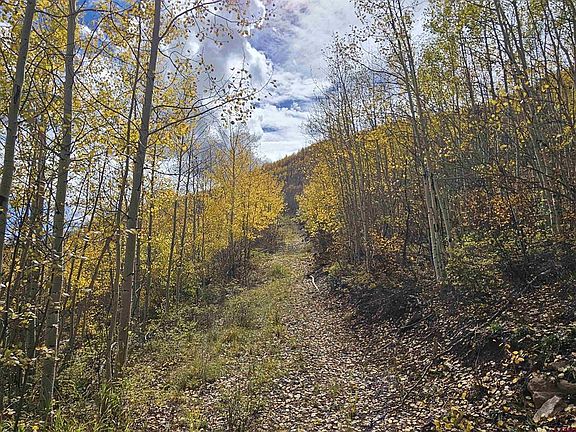4th image of TBD County Road 243