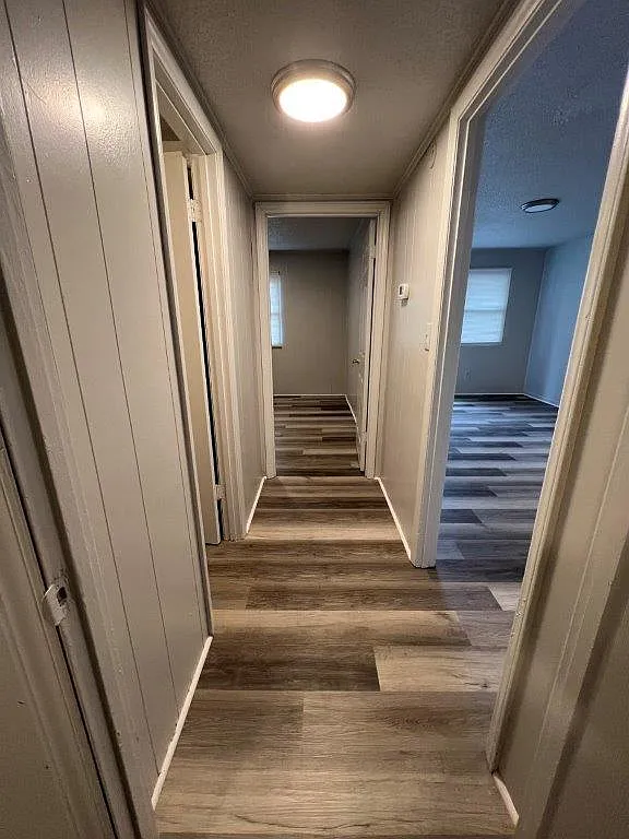 2 bed, $800 — Photo 4
