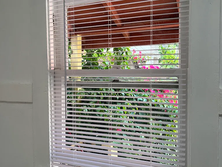 view from kitchen windows