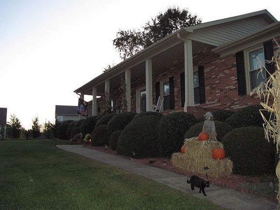 Front showing step rail